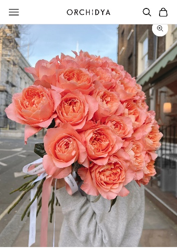 ORCHIDYA coral peony roses