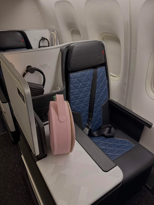 First Class Flight ✈️ 