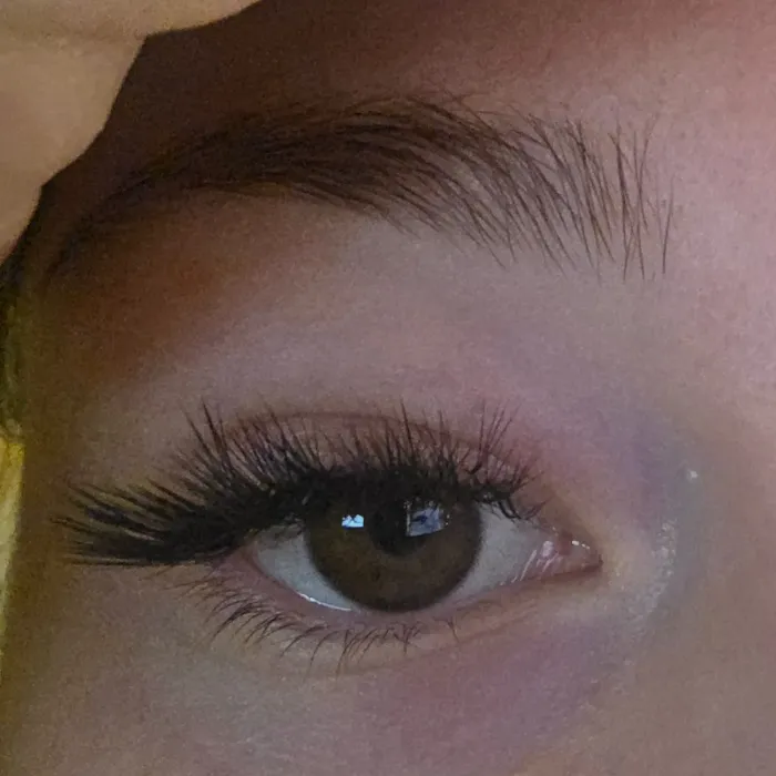 lash extensions ($100)