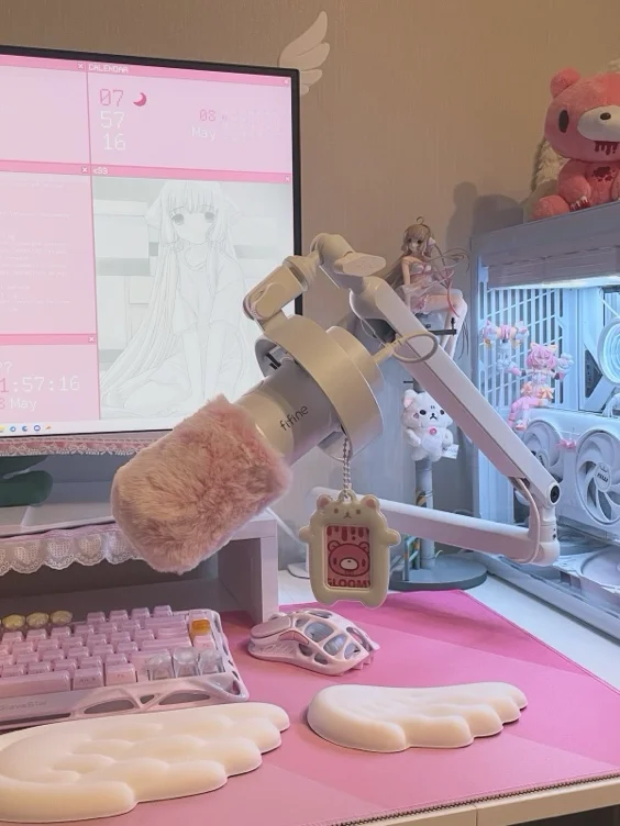 streaming setup (cam & mic)