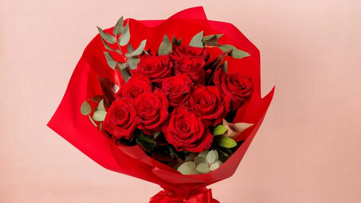 RED ROSES🌹🌹🌹