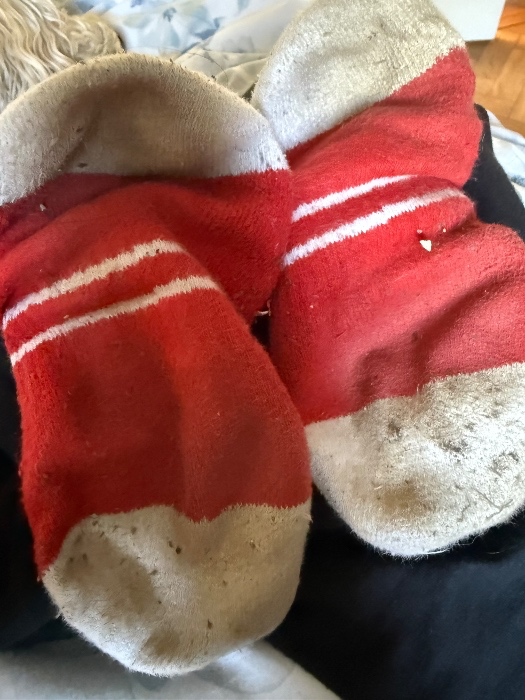Socks for momma and Littlebear please 