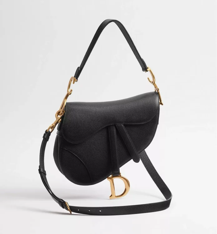 Dior Saddle (my dream)