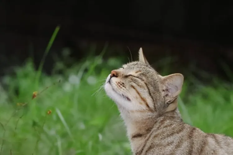 sniff sniff... my toes... ;)