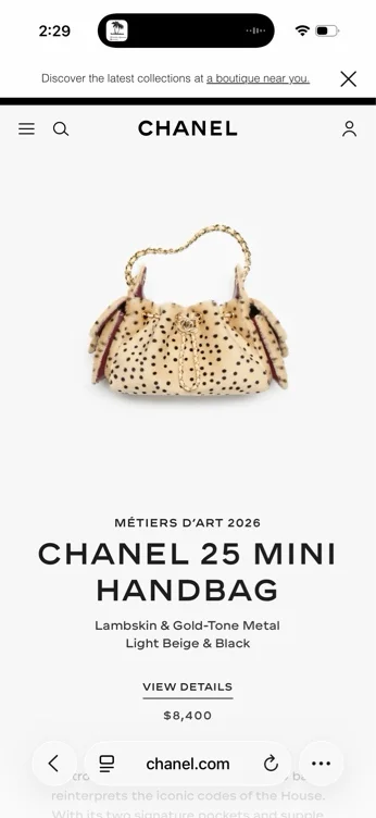 CHANEL 25 Mini Handbag