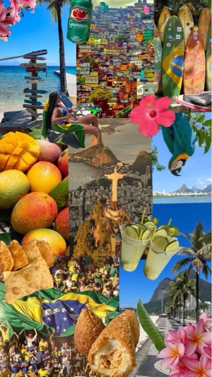 sub funded BRAZIL Trip 