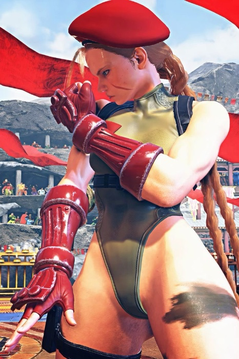 Cammy cosplay(suit + wig) 