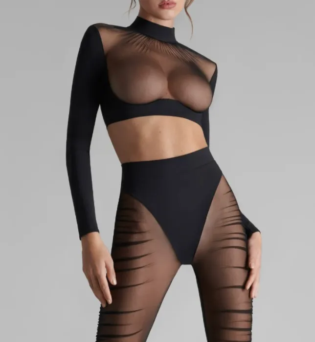 Sheer Long Sleeve Top