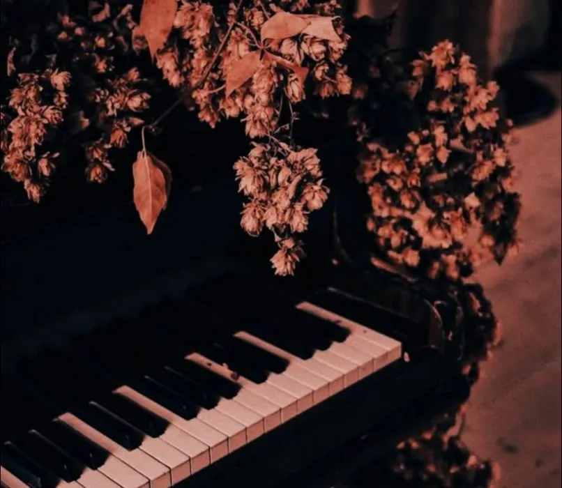 Piano 🎹