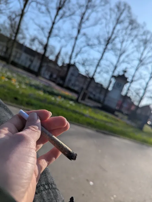 🍃💨