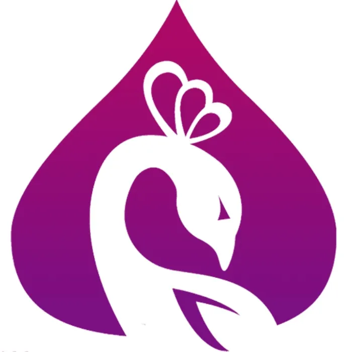Bellydance Academy 10 Class Pack