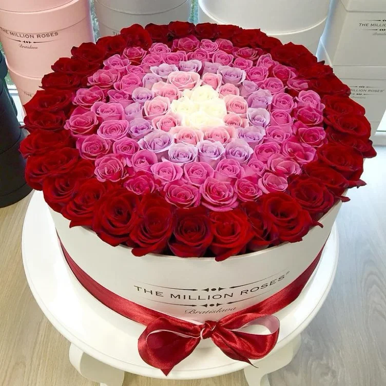 Spoil (100) 🥰 Xxx