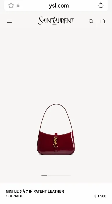 YSL bag