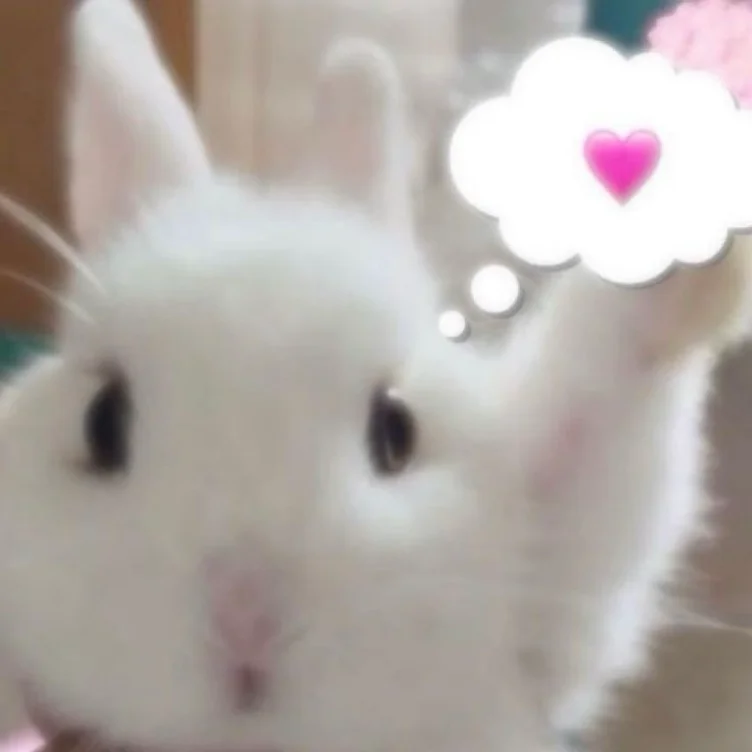 ₍₍⚞(˶˃ ᵕ ˂˶)⚟⁾⁾