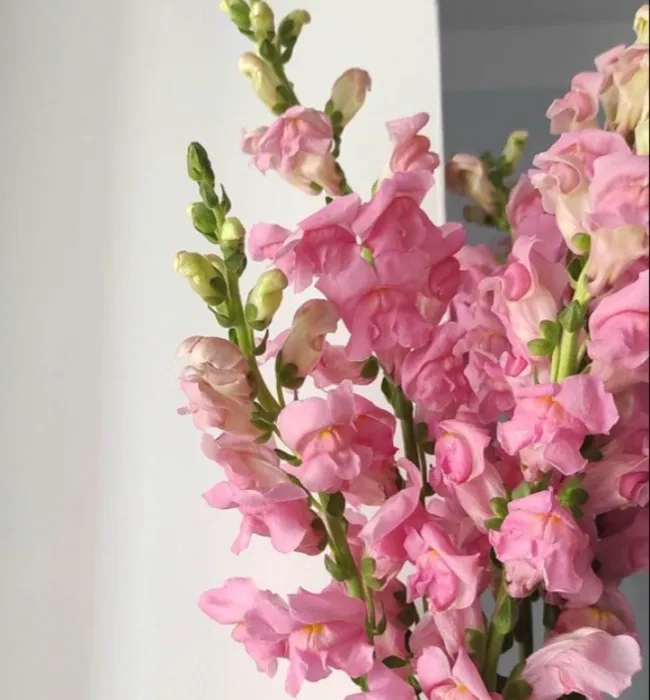 Flowers!!
