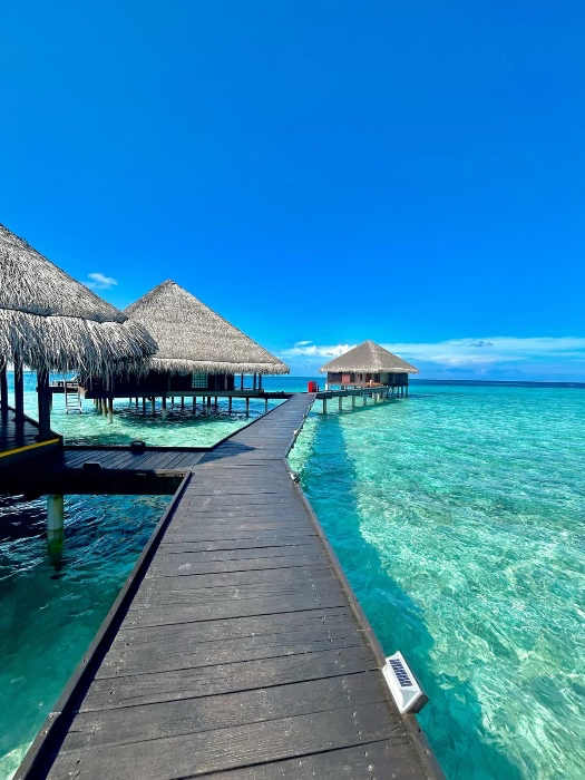 dream vacation 
