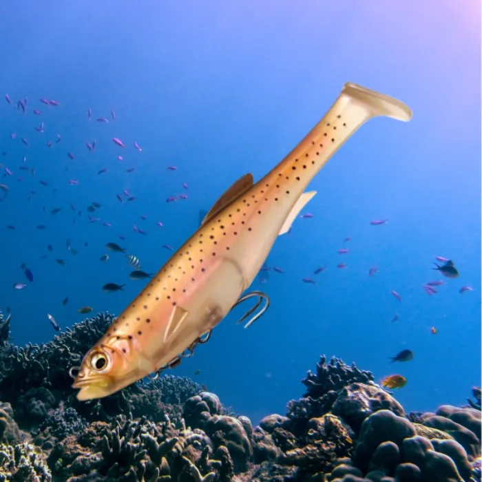Big fish bait