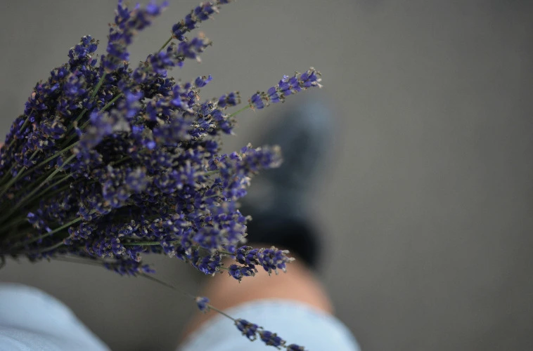 Bouquet of flowers to show you're thinking of me