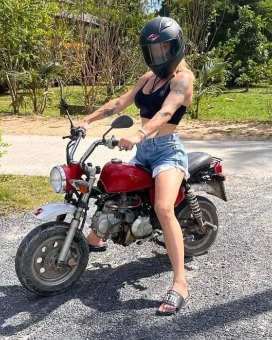 Motorcycle Accessories