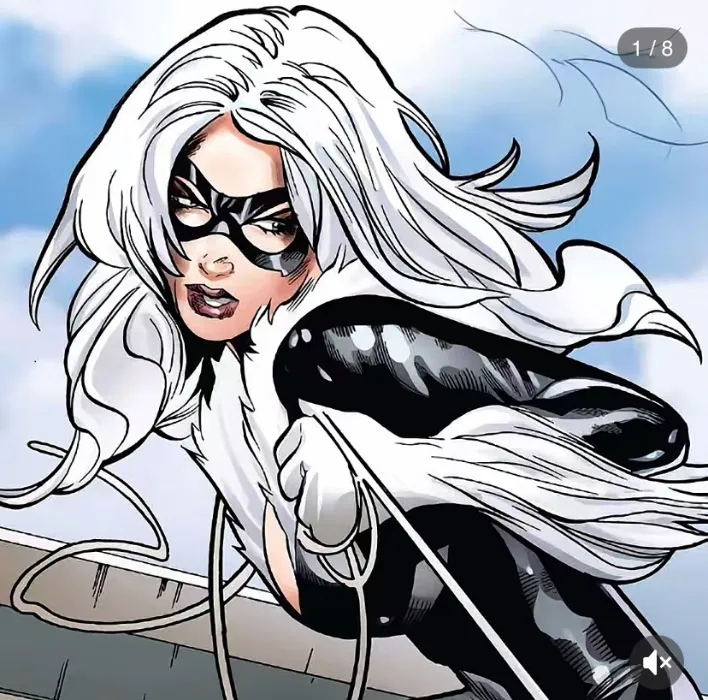 Black cat