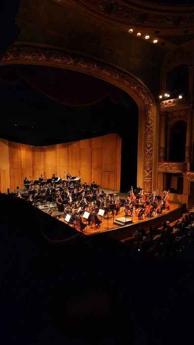 Night at the Symphony