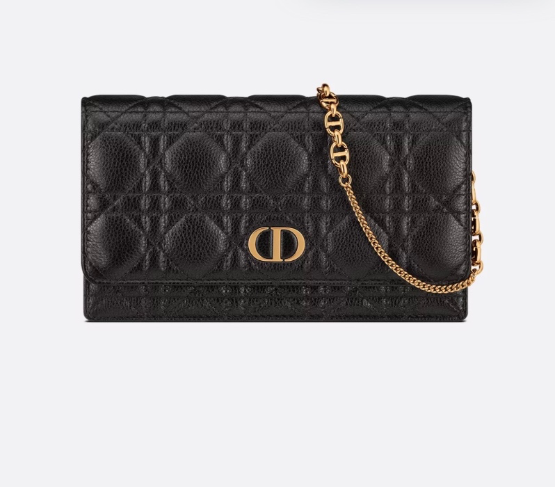 Dior Caro Pouch with Chain