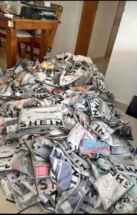 Shein big cart!