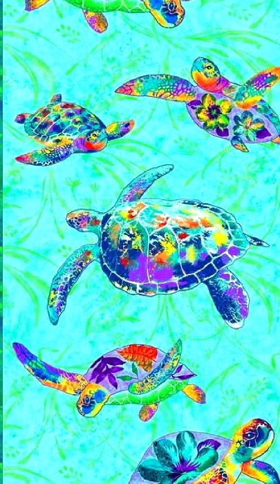 🐢£50 turtle gift! 🐢 