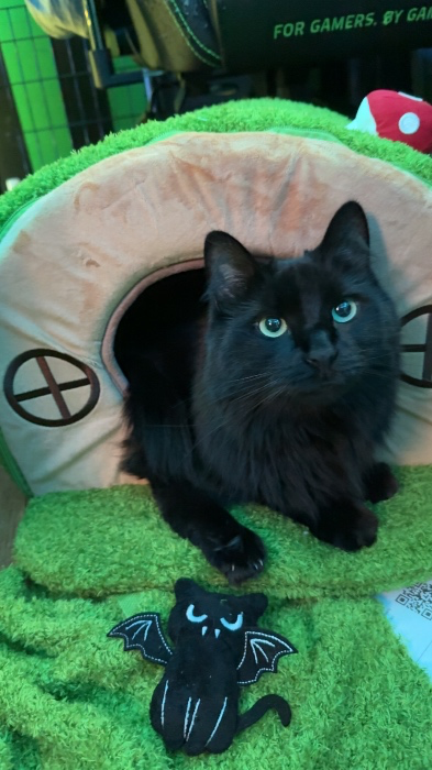 MRI for Spooky