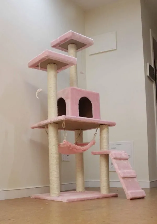 Kitty tower