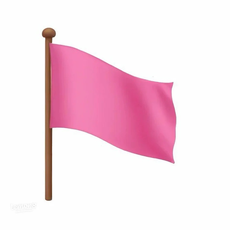Pink Flag 🎀