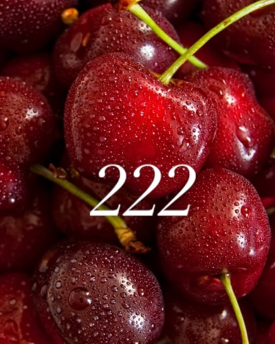 222 Cherries 🍒 