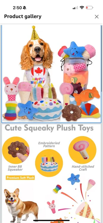 11 Dog Birthday Party Supplies Birthday Squeaky Cake Toys Dog Birthday Hat Dog Party Decorations