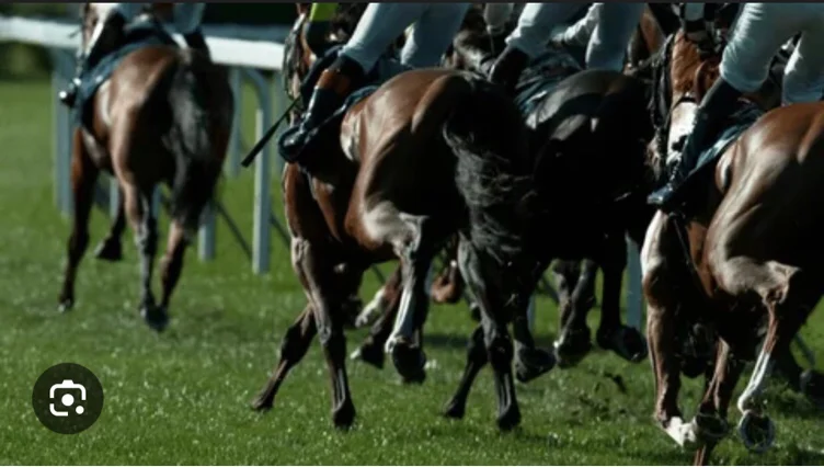 Equestrian classes