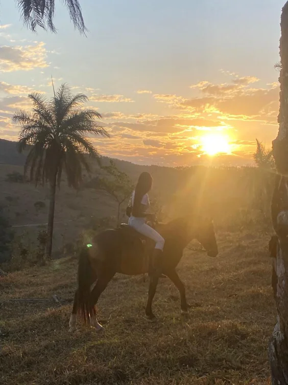 A horse 🐎 