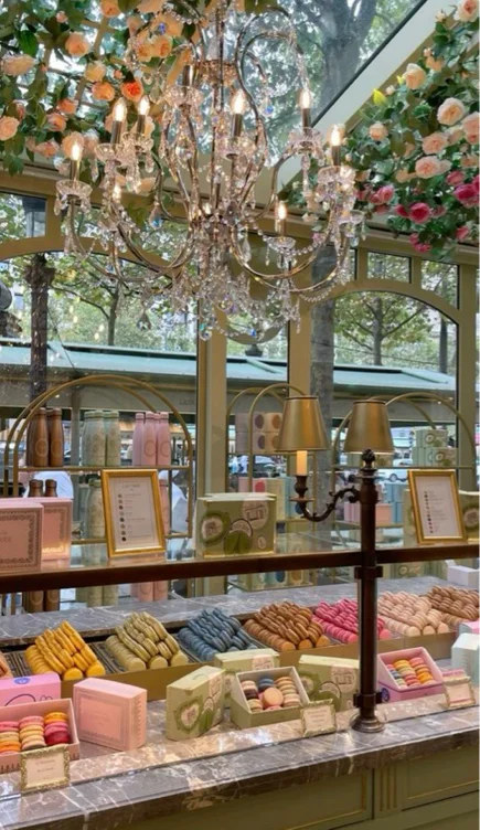 Paris treats 