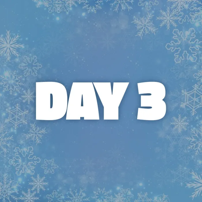 Day 3