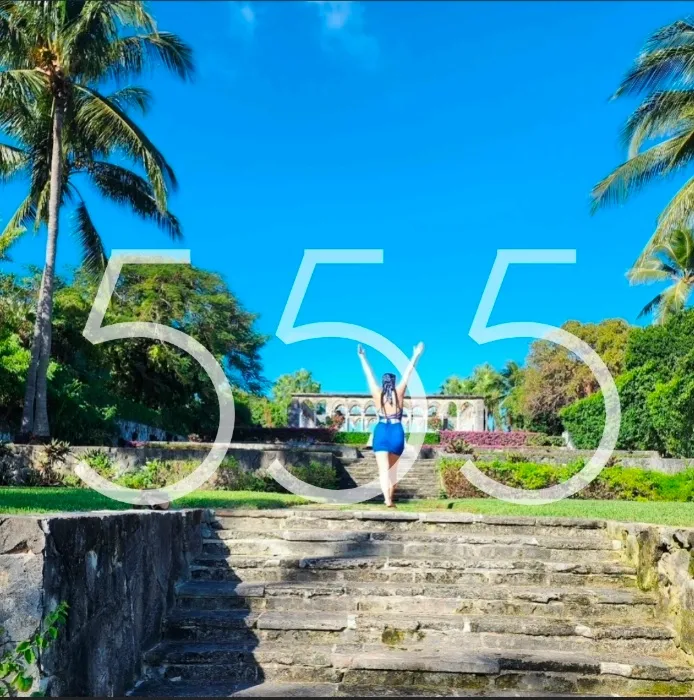 555🪽