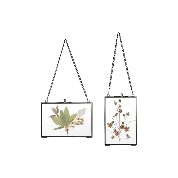 Hanging Glass Frames