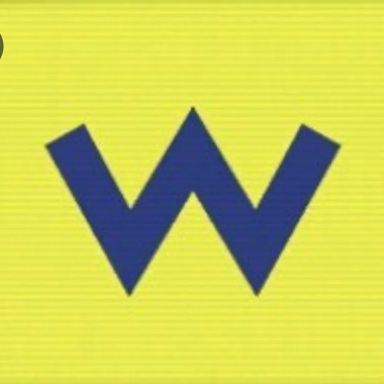 Wario Wealth Distribution 
