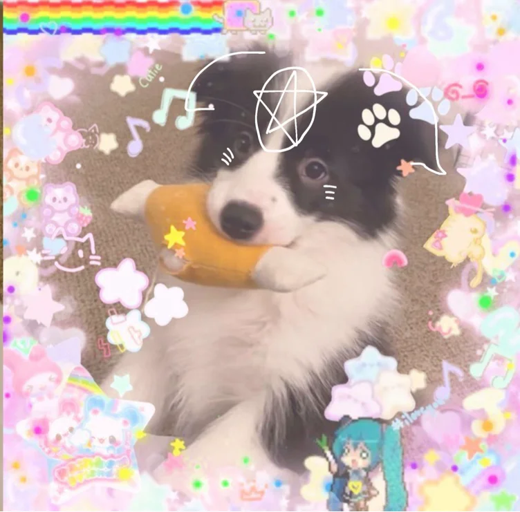 Puppy’s Panties >:3