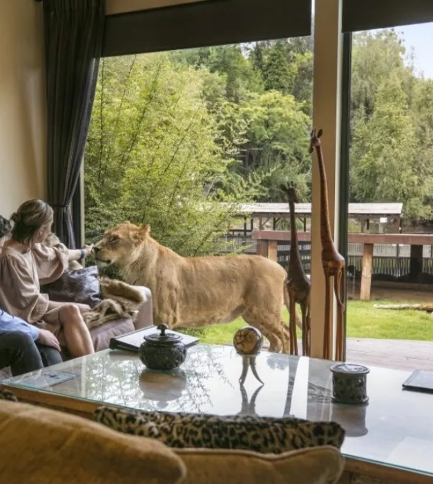 Birthday Stay at Jamala Wildlife Lodge (March)