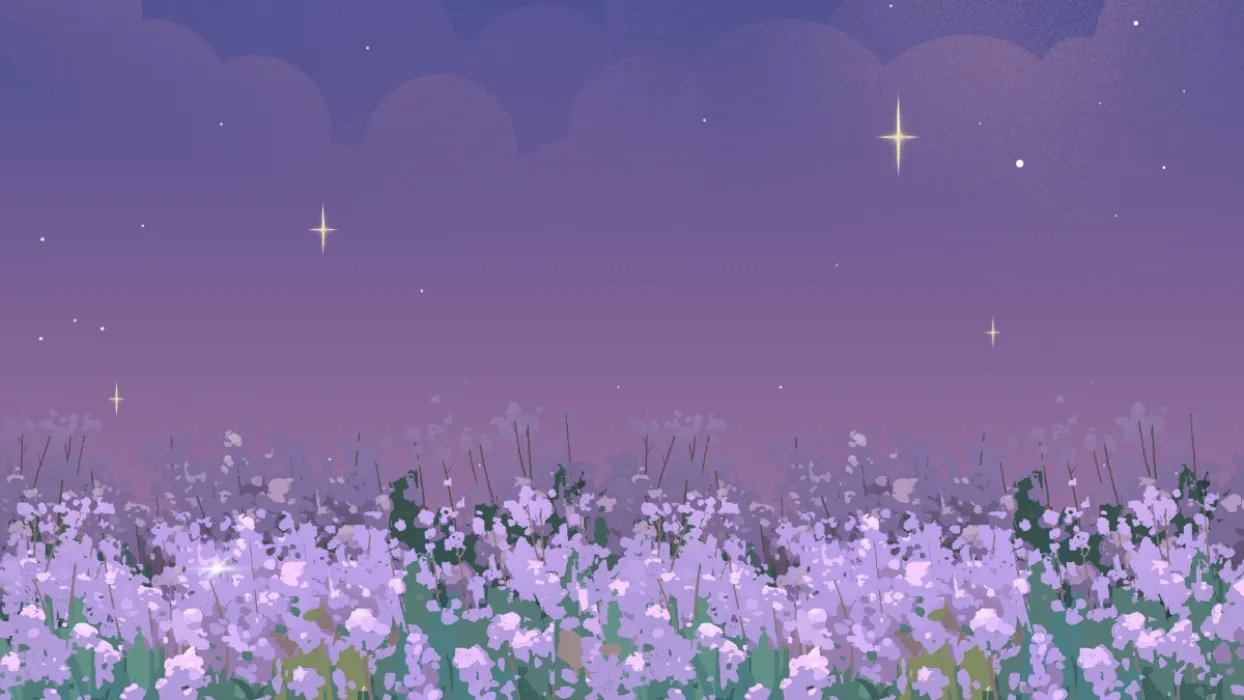 ✧.* deco only