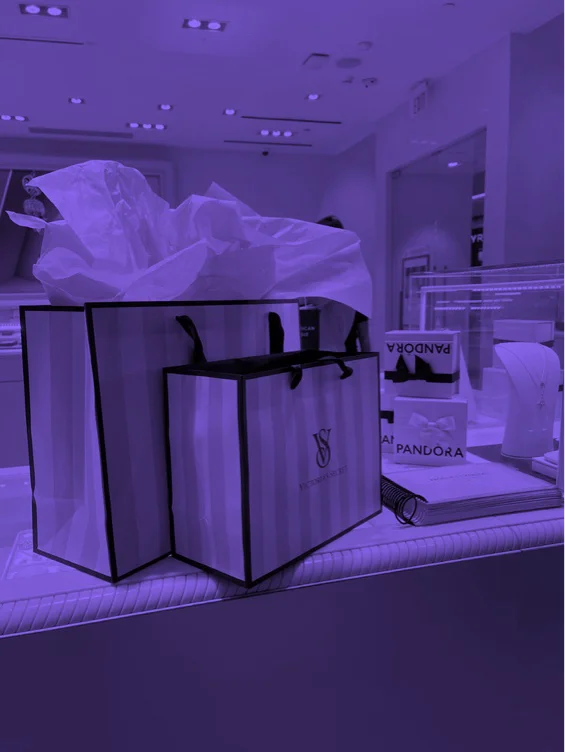 shopping spree 🖤 ($200)