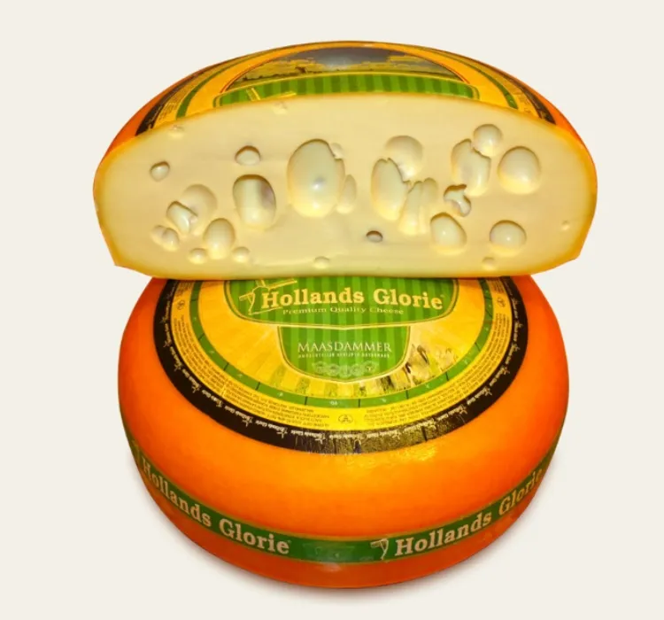 12 kg wheel of Dutch Maasdam cheese 