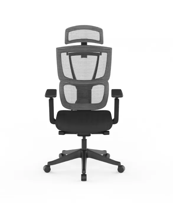 Multi-Adjustable Ergonomic Chair with Split Lumbar Support (C7)