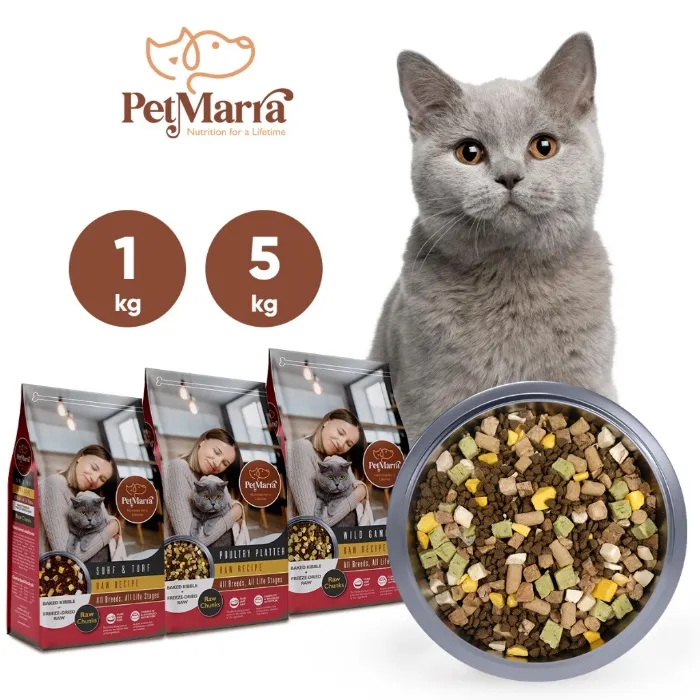 Fancy Cat food for Sushi