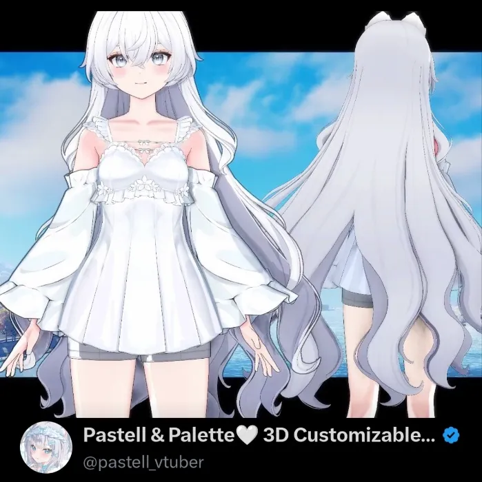 3D Customizable Model