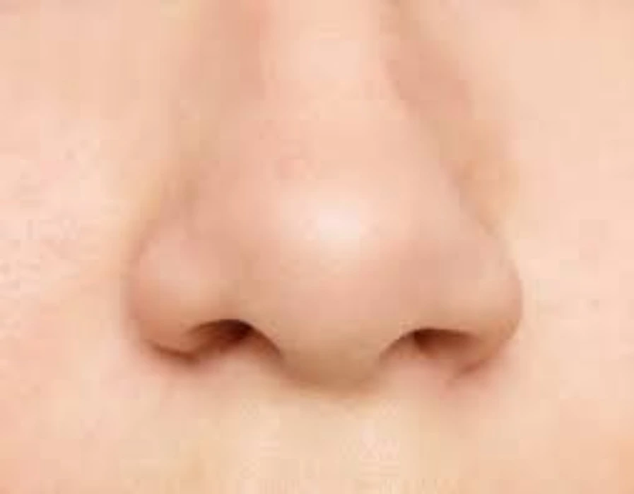Jewelry for Nose Piercing :3