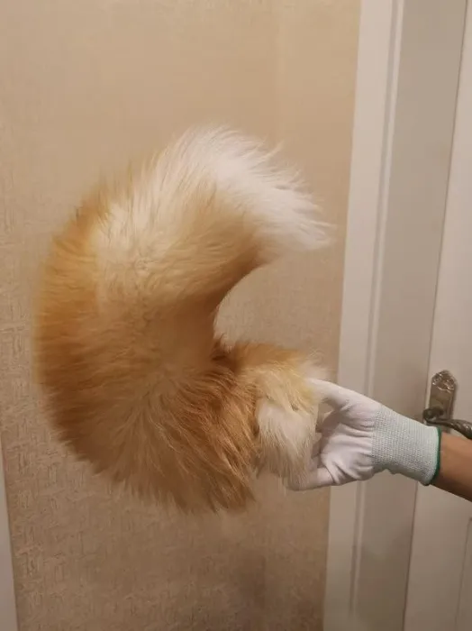 Electric Remote-Controlled Movable Tail | Orange / One Size